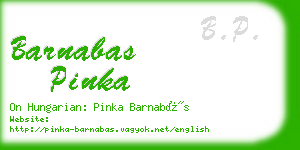 barnabas pinka business card